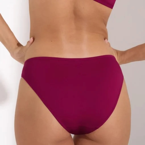 LISCA PAMA BIKINI ΚΑΤΩ ΜΕΡΟΣ 041637-7C-SOUR CHERRY - Image 3