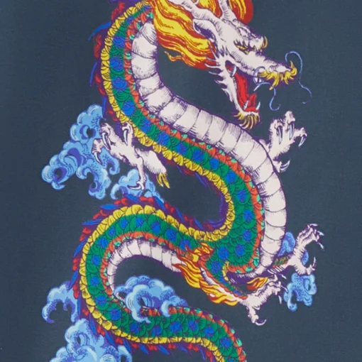 BOARDIES SHENLONG ΠΟΥΚΑΜΙΣΟ BSS706-MULTI - Image 3